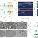 Oxuduğumuz zaman beyində baş verənlərə hərtərəfli nəzər salaq