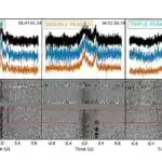 Sepsislə əlaqəli reseptorun yenidən tədqiqi onun qarşılıqlı əlaqəsi ilə bağlı ziddiyyətləri həll edir.