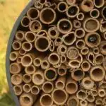 Şənbə Sitatları: AI xərçəngin sağ qalma nəticələrini proqnozlaşdırır; Hubble gəzən qara dəliyi görür