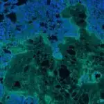 Sosial robotlar bizsiz öyrənir? Yeni tədqiqat insanları erkən sınaqdan məhrum edir