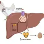 Problemli sosial media saxta xəbərlərə inanma ilə əlaqələndirilir