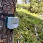 Çoxsaylı xərçəng növlərindən olan sümük metastazlarının tək hüceyrəli RNT ardıcıllığı üç fərqli immun arxetipi ortaya qoyur.