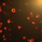 2025-ci ildə tornado xiyabanı Rokkilərin şərqindəki demək olar ki, hər şeyə çevrildi və bu, şiddətli bir il oldu