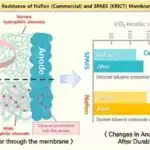 Ətraf mühitin plastikliyi heyvanlar aləmində yeni növlərin artmasına səbəb olur