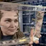 Alimlər şimpanzelərin ilk tibbi yardım göstərmək üçün dərman yarpaqlarından istifadə etdiyini kəşf edirlər