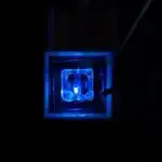 Mikroskopik filmlər beyin zülallarını hərəkətdə saxlayır, formalar və funksiyalar haqqında yeni anlayışlar ortaya qoyur