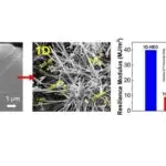 Süni hüceyrəyə bənzər strukturlar özünü çoxalmanı təqlid edir və polimer sporlar buraxır