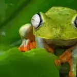 Metal orqanik birləşmələrin kristal süngərə daxil edilməsi daha təhlükəsiz işləmə üçün yeni strategiya təklif edir.