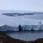 Oyster qalıqları istixana iqlimində zəif mövsümilik mifini pozur