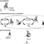 Robot əl insana bənzər çevikliyi olan obyektləri tutmaq üçün uyğun materiallardan istifadə edir