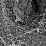 Niyə az böyüyən insanlara güvənirik?