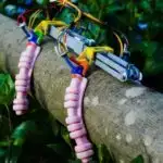 Tədqiqat insan serebral korteksində fərqli neyron alt tiplərinin inkişafına təkan verən gen şəbəkələrini aşkar edir.