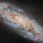 İnsan alverinin gizlədilməsi: AI gizli işə götürmə şəbəkələrini aşkar edir