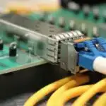 Yaşayış yeri olaraq dəniz külək fermalarından istifadə edərək tapılan köpək balıqları və şüalar