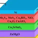 Həm CAR, həm də TCR-ləri ifadə edən mühəndis T-hüceyrələri xərçəngli və sağlam toxumaları daha yaxşı ayırd edə bilər.