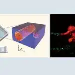 Əlavə görüntüləmə üsulları, sıx döşləri olan qadınlarda mamogramlar tərəfindən qaçırılan erkən mərhələdə xərçəngləri aşkar edə bilər.