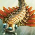 Çox yönlü göbələklərə əsaslanan canlı material yırtılmağa davamlıdır və hətta təhlükəsiz şəkildə yeyilə bilər