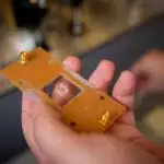 İşçilərin rəhbərlik etdiyi proqramlar təchizat zəncirlərində gender əsaslı zorakılıqla mübarizə aparır, lakin onlar risk altındadırlar.