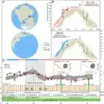 Jumping genləri laboratoriyada bakteriya təkamülünü sürətləndirir