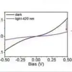 Bu cür ilk araşdırma Vikinq dövründə hamiləliyə işıq salır