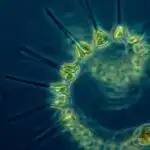 Aydakı bəzi qayalar niyə yüksək maqnitlidir? Alimlərin cavabı ola bilər