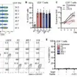 Üçüncü tərəf məlumat annotatorları tez-tez başqalarının emosiyalarını dəqiq oxuya bilmirlər, tədqiqatın nəticələri