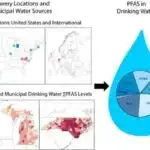 Yaxından əlaqəli bitki zülalları hüceyrə formasını və böyüməsini təəccüblü şəkildə fərqli şəkildə idarə edə bilir