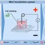 Süni intellekt Higgs bozonunun cazibəsini artırır