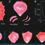 Şənbə Sitatları: Xərçəng prekursor hüceyrəsi müəyyən edildi; Webb daha köhnə qalaktikaları aşkar edir