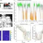 Dünyanın ən kiçik özünü idarə edən ikiayaqlı robotu sadə mexaniki dizaynla rekord sürət və çevikliyə nail olur