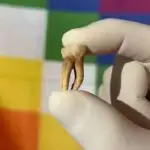 Yeni transformator arxitekturası təxəyyül və daha yüksək səviyyəli insanın psixi vəziyyətlərini təqlid edir