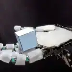 Ananın rəhbərliyi: Ananın rəyi vəhşi yarasa balalarında səs inkişafını necə formalaşdırır