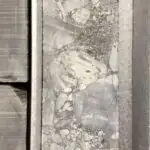 Araşdırma göstərir ki, Amerika qitəsində cüzam avropalıların gəlişindən çox əvvəl mövcud olub