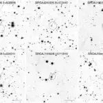 Bakterial immunitet sistemi viral işğalçıları pozmaq üçün filament formalaşmasından istifadə edir