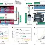 Medicare Part D subsidiyasının itirilməsi aşağı gəlirli yaşlı yetkinlər arasında daha yüksək ölümlə əlaqələndirilir
