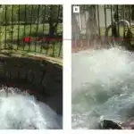 Bütün qadın ekstremal dalğıcların genetik analizi qan təzyiqi və soyuq dözümlülüklə əlaqəli dəyişiklikləri tapır