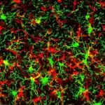 Tərbiyəçi intuisiyası bəzi erkən xəbərdarlıq sistemlərindən əvvəl uşaq sağlamlığı böhranlarını görə bilər