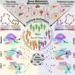 Tədqiqatın nəticələrinə görə, buz dövrü heyvanlarının soyuq uyğunlaşması 2,6 milyon il əvvəl başlayıb