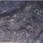 Şəffaf hidrogen borid nano vərəqləri bir çox patogenlərə qarşı antimikrobiyal xüsusiyyətlər göstərir