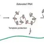 Sistem parça təsvirlərini tam maşın oxuna bilən toxuculuq təlimatlarına çevirir