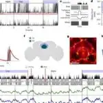 Kvant kompüterləri üçün quditlərin kvant səhvinin korreksiyasının ilk uğurlu nümayişi