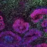 Böyük Britaniya laboratoriyası çirkləndirici qazlar olmadan kondisioner inqilabı vəd edir