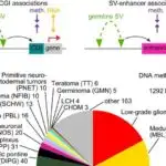 Milyonlar hələ də eynək əldə edə bilmirlər – tədqiqat 2010-cu ildən bəri əhatə dairəsində minimal irəliləyiş göstərir