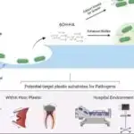 Balıqlar əvvəllər inanıldığından daha ağıllı ola bilər