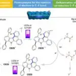 Təcili müdaxilə ilə nəsli kəsilməkdə olan Havay balının sağalması hələ də mümkündür