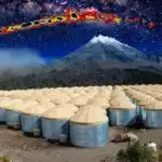 Kapuçin meymunları uşaq ulayanları oğurlamaqda qəribə “dəb” inkişaf etdirir, kameralar ortaya qoyur