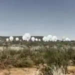 Zülal problemi: Tədqiqatçılar təkamül biokimyasında fundamental fərziyyəyə etiraz edirlər