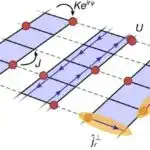 Yeni tapıntılar, nadir nəhəng karidesin əvvəllər inanıldığından daha geniş yayıldığını ortaya qoyur