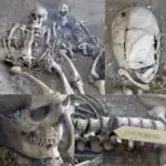 Plankton hüceyrə membranının kimyasını qlobal okeanlardakı temperatura, qida maddələrinə və işığa uyğunlaşdırır