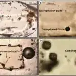 LLM-lərə əsaslanan alqoritm məlumatların itkisiz sıxılma sürətini ikiqat artırır